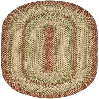 SAFAVIEH Washable Rug Outdoor Braided Collection - 9' x 12' Oval, Rust & Multi, Handmade & Reversible, Non-Shedding & Easy to Clean, Ideal for Patio, Backyard, Mudroom (BRD303A)