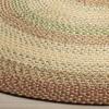 SAFAVIEH Washable Rug Outdoor Braided Collection - 9' x 12' Oval, Rust & Multi, Handmade & Reversible, Non-Shedding & Easy to Clean, Ideal for Patio, Backyard, Mudroom (BRD303A) view 2