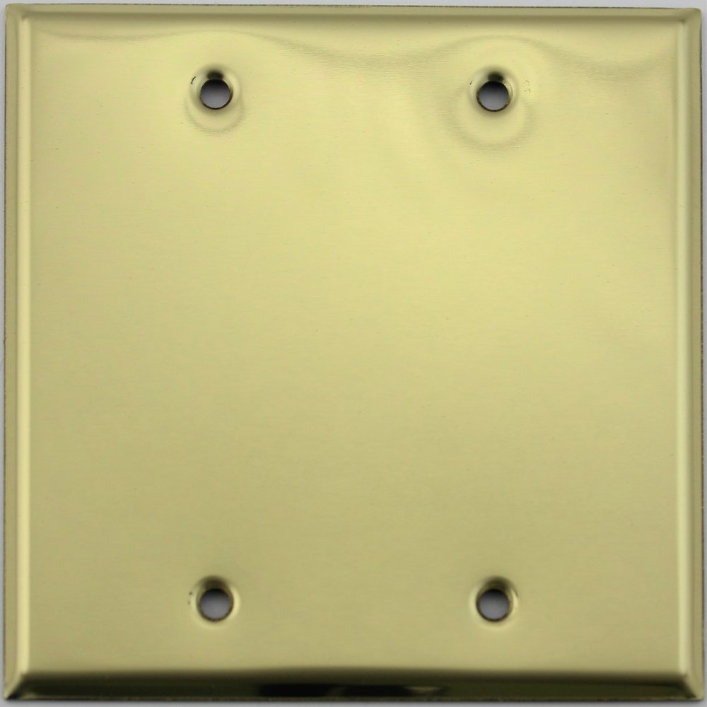 Stamped Polished Brass 2 Gang Blank Wall Plate