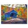 Trademark Fine Art Fall Comes to Downer Vertmont Canvas Wall Art by David Lloyd Glover, 18 by 24-Inch view 1