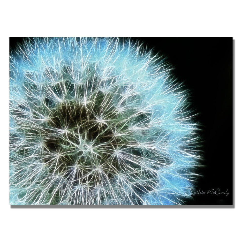 Trademark Fine Art ' Dandelion Seed Head Full ' Canvas Art by Kathie McCurdy 18x24