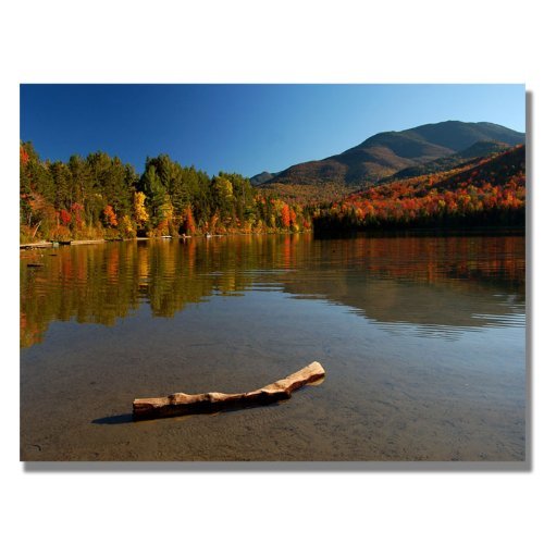 Trademark Fine Art The Adirondack Driftwood Canvas Art by Nicole Dietz, 18 by 24-Inch