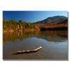 Trademark Fine Art The Adirondack Driftwood Canvas Art by Nicole Dietz, 18 by 24-Inch view 1