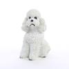 Conversation Concepts Poodle White W/Sport Cut Tiny One Figurine view 1