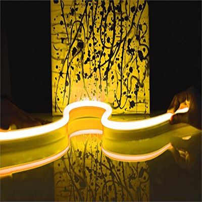 CBConcept ETL Listed 120 Volt LED NEON Flexible Lighting Strip, 165 Feet, Warm White, Waterproof Resistant, Accessories Included - Ideal For Indoor Outdoor Lighting Ready to plug to shine