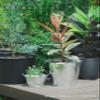 Productions (thousand years) Made in Japan Tin Bucket Construction for 2 # # # # view 4