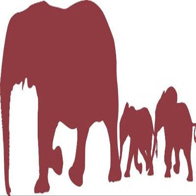 Express Yourself Elephant Mother and Children Wall Decal (Dark Red - Reverse Facing - XL) - Exotic Animal Collection