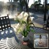 NoBrella Flower Vase Patio Table Umbrella Hole Insert, White view 2