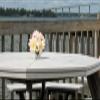 NoBrella Flower Vase Patio Table Umbrella Hole Insert, White view 4