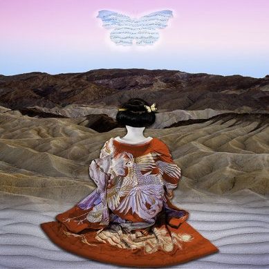 22 x 17 in. Madame Butterfly