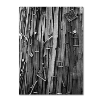 Trademark Fine Art Nails and Staples by Patty Tuggle Canvas Wall Art, 16 by 24-Inch