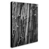 Trademark Fine Art Nails and Staples by Patty Tuggle Canvas Wall Art, 16 by 24-Inch view 2