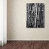 Trademark Fine Art Nails and Staples by Patty Tuggle Canvas Wall Art, 16 by 24-Inch view 3
