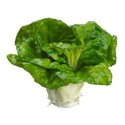 3.5" Cabbage Green (Pack of 12)