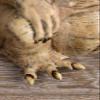 Ghoulish Productions - Little Monster Prop - Standard view 4