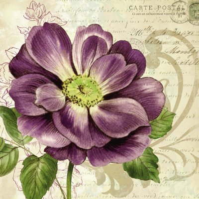 Study in Purple I Art Poster Print by Pamela Gladding, 18x18