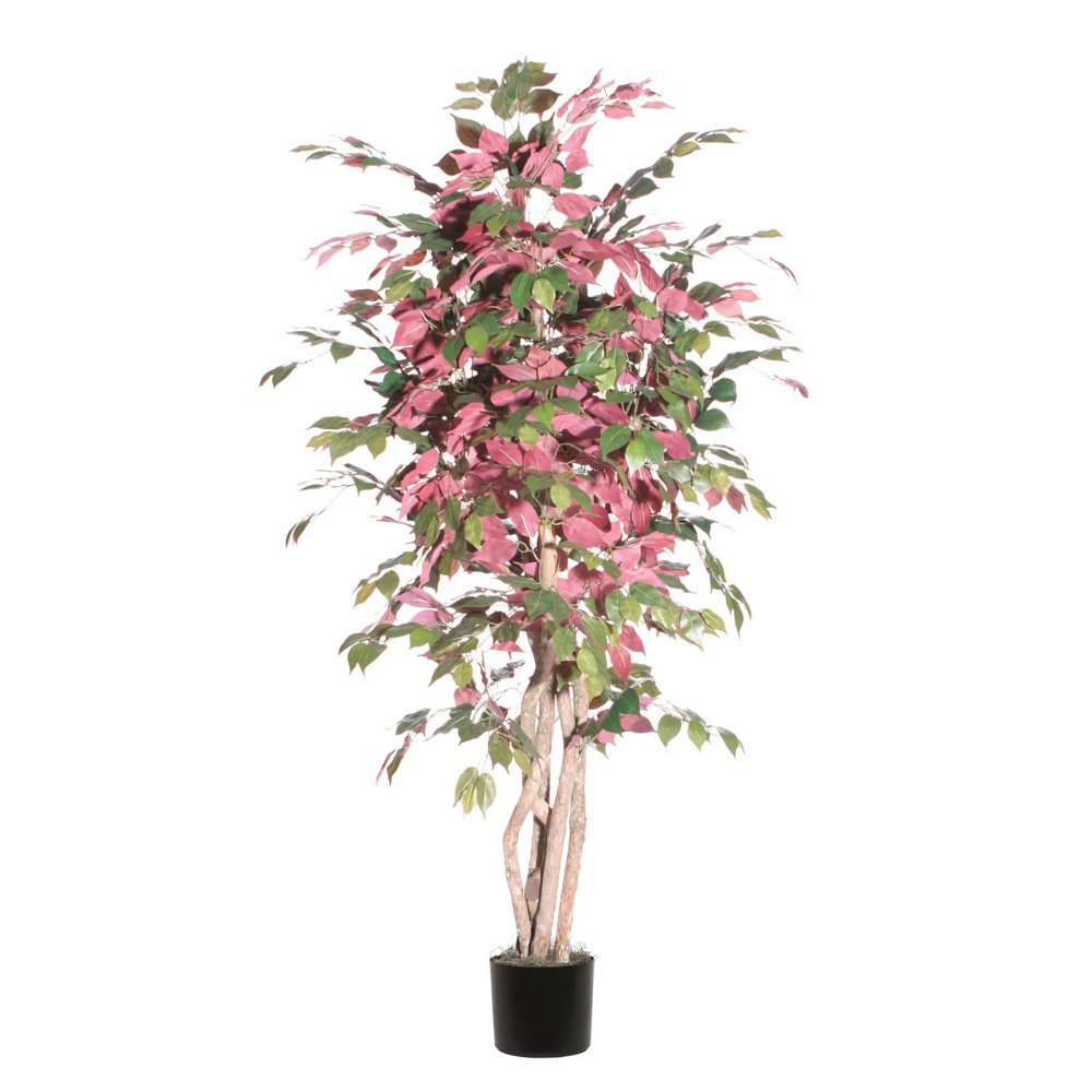 Vickerman 6 ft. Capensia Executive Silk Tree