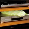 Nippon Clintec Fluffy Duster, Green, Diameter 9.8 inches (25 cm), Total Length 22.4 inches (57 cm), Static Electricity Removal, Office, Home, Dust Removal, Washable view 4