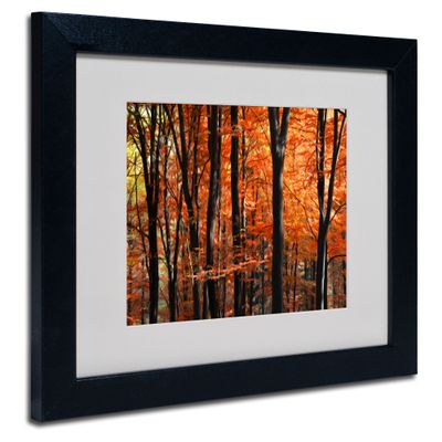 Trademark Fine Art Indisputable Truth Matted Artwork by Philippe Sainte-Laudy with Black Frame, 11 by 14-Inch