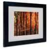 Trademark Fine Art Indisputable Truth Matted Artwork by Philippe Sainte-Laudy with Black Frame, 11 by 14-Inch view 1