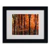 Trademark Fine Art Indisputable Truth Matted Artwork by Philippe Sainte-Laudy with Black Frame, 11 by 14-Inch view 2