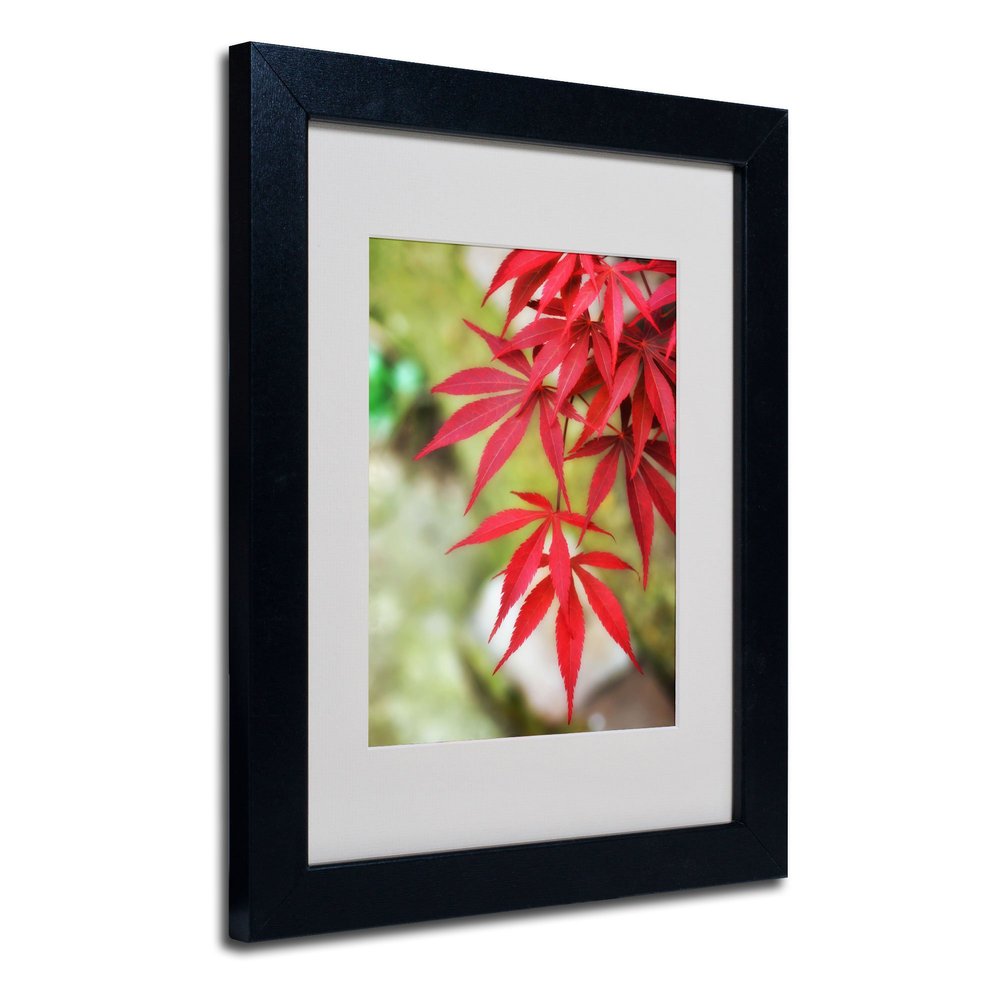 Trademark Fine Art Japanese Maple Matted Artwork by Philippe Sainte-Laudy with Black Frame, 11 by 14-Inch