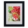 Trademark Fine Art Japanese Maple Matted Artwork by Philippe Sainte-Laudy with Black Frame, 11 by 14-Inch view 2