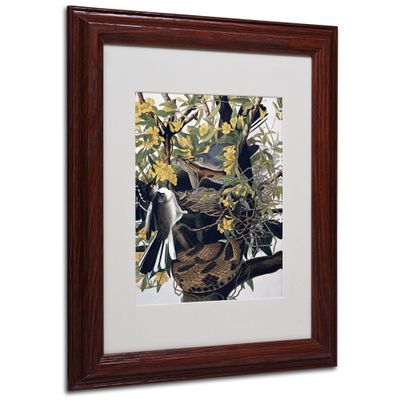 Trademark Fine Art Mocking Birds and Snake Matted Artwork by John James Audubon with Wood Frame, 11 by 14-Inch