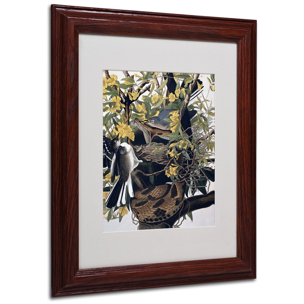 Trademark Fine Art Mocking Birds and Snake Matted Artwork by John James Audubon with Wood Frame, 11 by 14-Inch