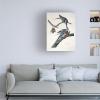 Trademark Fine Art Passenger Pigeon Artwork by John James Audubon, 18 by 24-Inch view 3