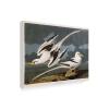 Trademark Fine Art Tropic Bird Artwork by John James Audubon, 18 by 24-Inch view 1