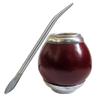 Gaucho Bruno Gourd with Metal Base and Bombilla Kit to Drink Yerba Mate view 1