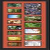 Art to Frames Double-Multimat-627-693/89-FRBW26079 35 by 15-Inch Picture Frame, 1.25-Inch Wide, Satin Black view 3