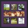 Art to Frames Double-Multimat-619-849/89-FRBW26079 Collage Photo Frame Double Mat with 1-5x20 and 6-6x6 Openings and Satin Black Frame view 1