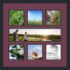 Art to Frames Double-Multimat-619-815/89-FRBW26079 Collage Photo Frame Double Mat with 1-5x20 and 6-6x6 Openings and Satin Black Frame view 1