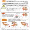 Berner BORNER PL Thick Sliced Potato Waffle Slicer XXL + Safety Holder Set Orange 5O52050saf view 3