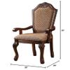 Acme ARM Chair view 3