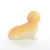 Conversation Concepts Lhasa Apso Brown W/Sport Cut Tiny One Figurine view 2