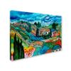 Trademark Fine Art Valley House Canvas Wall Art by Manor Shadian, 18 by 24-Inch view 2