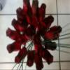 Beautiful Wood Roses 2 Dozen Red with Black Tips with Onion grass view 2