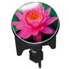 WENKO 21238100 Drain Plug Pluggy Pink Lily fits All Conventional drains, Plastic, 3.9 x 6.5 x 3.9 cm, Multicoloured view 1