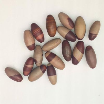 craftslook Narmada Shiva Lingam Stone 1.3 Inch Set of 11 Natural Narmadeshwar Banalinga from Narmada River, Sacred Shivling for Pooja, Meditation, Reiki Healing & Spiritual Energy