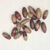 craftslook Narmada Shiva Lingam Stone 1.3 Inch Set of 11 Natural Narmadeshwar Banalinga from Narmada River, Sacred Shivling for Pooja, Meditation, Reiki Healing & Spiritual Energy view 1