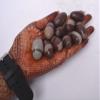 craftslook Narmada Shiva Lingam Stone 1.3 Inch Set of 11 Natural Narmadeshwar Banalinga from Narmada River, Sacred Shivling for Pooja, Meditation, Reiki Healing & Spiritual Energy view 2