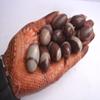 craftslook Narmada Shiva Lingam Stone 1.3 Inch Set of 11 Natural Narmadeshwar Banalinga from Narmada River, Sacred Shivling for Pooja, Meditation, Reiki Healing & Spiritual Energy view 3