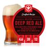 BrewDemon 2 Gal. Craft Variety 3-Pack of Beer Recipe Kits - Makes (3) Wicked-Good 4.6% ABV Batches of Craft Brewed Beer view 4