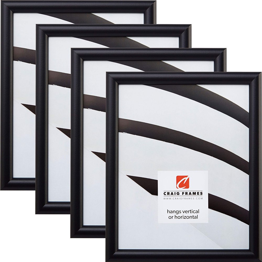 Craig Frames FW2BK 20 x 26 Inch Picture Frame, Black, Set of 4
