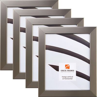Craig Frames 26966 4 x 10 Inch Picture Frame, Stainless Silver, Set of 4