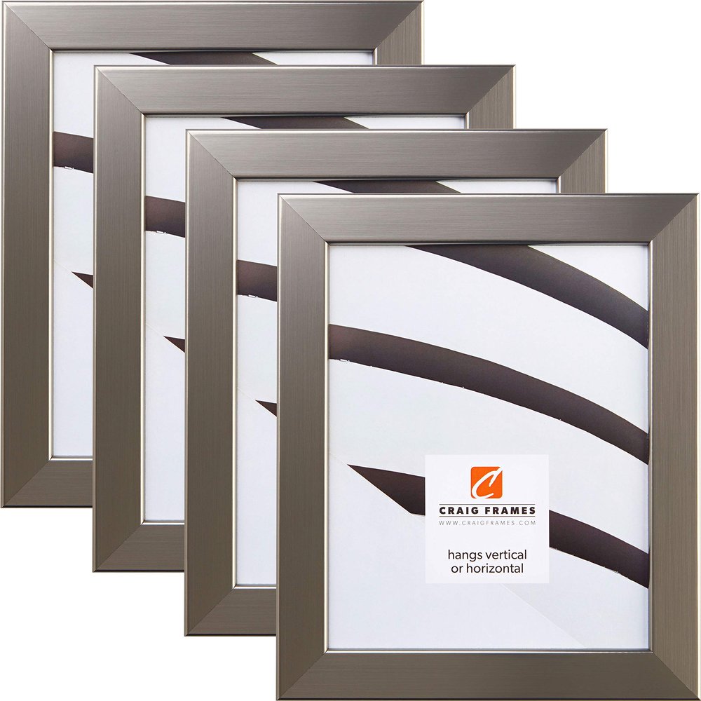 Craig Frames 26966 4 x 10 Inch Picture Frame, Stainless Silver, Set of 4