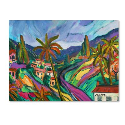 Trademark Fine Art Swept Slopes Artwork by Manor Shadian, 18 by 24-Inch